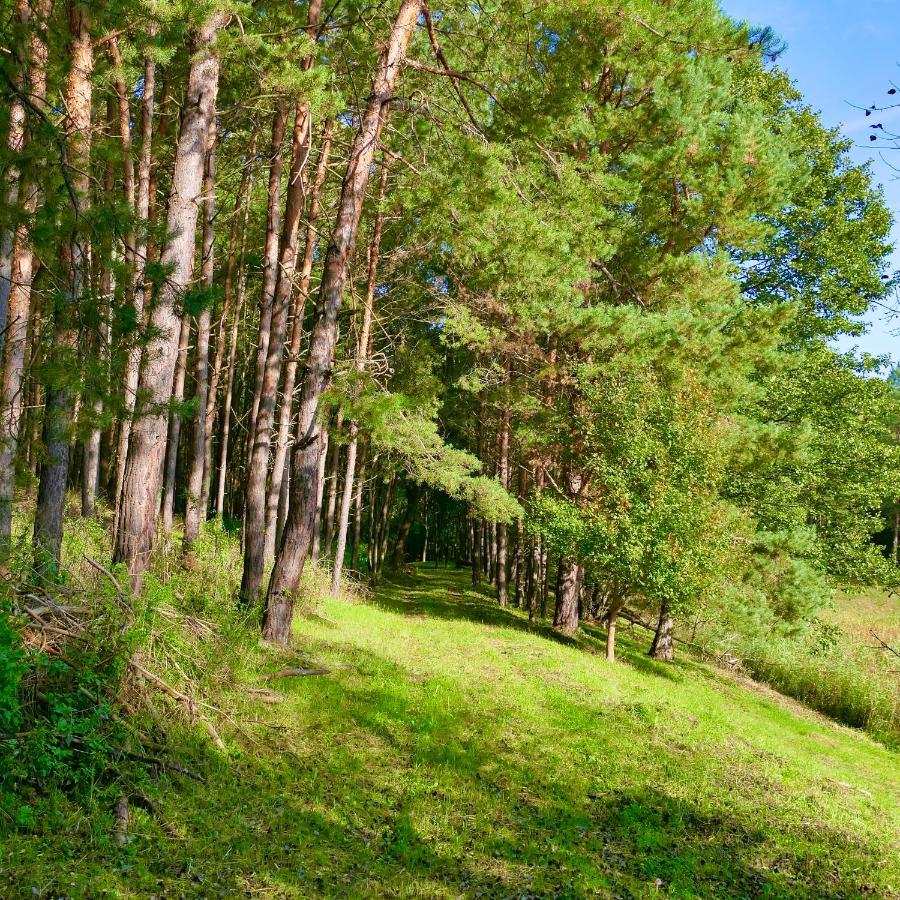 Bakony Deep Forest Vendeghaz Bakonyszentlaszlo Extérieur photo