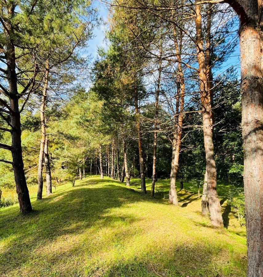Bakony Deep Forest Vendeghaz Bakonyszentlaszlo Extérieur photo